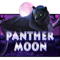 Panther Moon